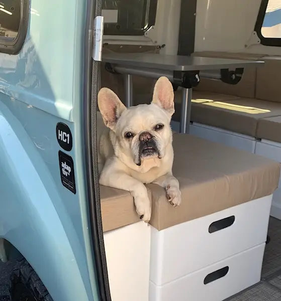 willie the handyman foreman